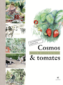 Cosmos et tomates
